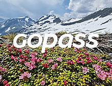 Gopass Online Ticket Shop