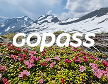Gopass Online Ticket Shop